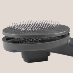 Pet Brush