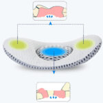 Relaxee - 3D Waist Lumbar Support Pillow